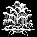 The 3 P Romblon Island