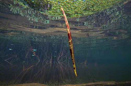 Die Reise fängt an.