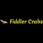 Fiddler Crabs